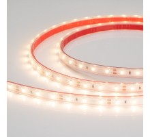 Лента светодиодная Arlight  28506