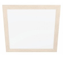 Накладной светильник Eglo ПРОМО Piglionasso 99472