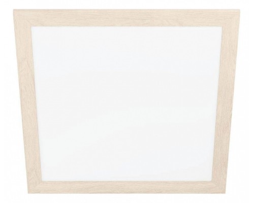 Накладной светильник Eglo ПРОМО Piglionasso 99472