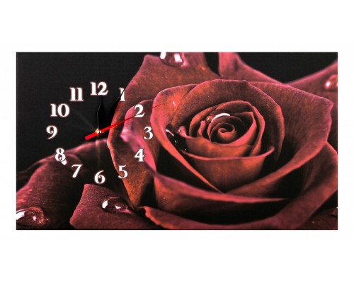 Настенные часы (53x30 см)  415-820