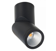 Светильник на штанге ST-Luce ST650 