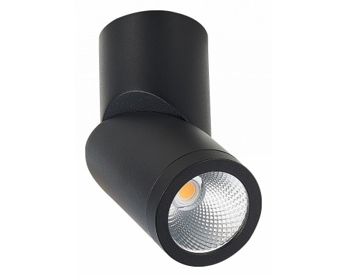 Светильник на штанге ST-Luce ST650 