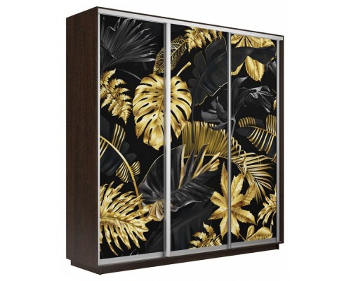 Шкаф-купе Экспресс Фото трио 1003 2100x450x2400