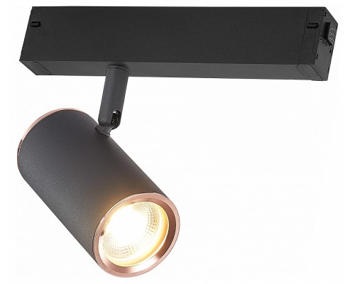 Светильник на штанге ST-Luce SKYLINE 220 