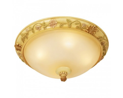 Накладной светильник Wertmark Marcela 