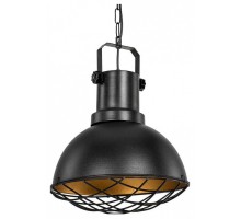 Подвесной светильник TopLight Christiana TL1637H-01BK