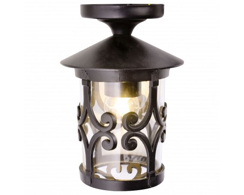Накладной светильник Arte Lamp Persia 1 A1453PF-1BK