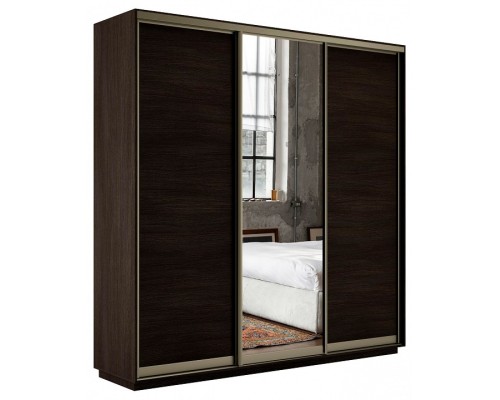 Шкаф-купе Экспресс Медиум