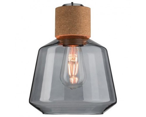 Подвесной светильник Paulmann Elia 79739