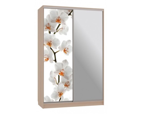 Шкаф-купе Рио 9-600 83