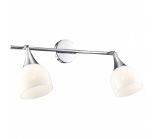 Спот Arte Lamp Trumpet A9556AP-2CC