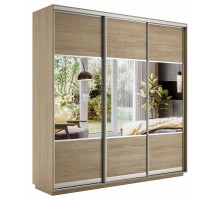 Шкаф-купе Экспресс Комби трио