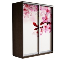 Шкаф-купе Экспресс Фото дуо