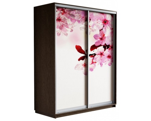 Шкаф-купе Экспресс Фото дуо