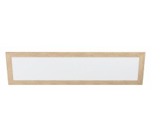 Накладной светильник Eglo ПРОМО Piglionasso 99473