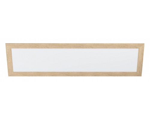 Накладной светильник Eglo ПРОМО Piglionasso 99473