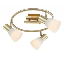 Спот Globo Raider I 54538-3