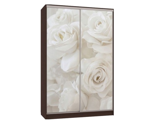 Шкаф-купе Гранд 7-600 розы