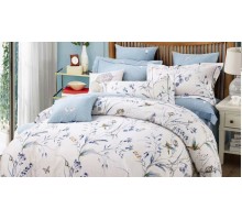Постельное белье двуспальное RS-273