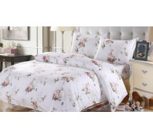 Постельное белье евростандарт AP-13