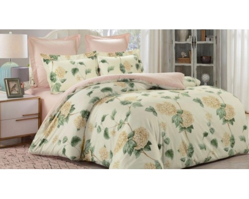 Постельное белье евростандарт C