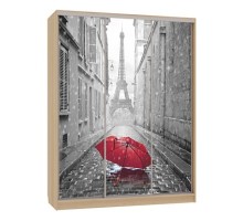 Шкаф-купе Бассо 7-600 08