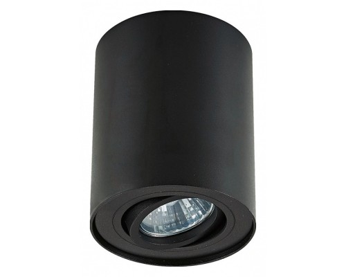 Накладной светильник Zumaline Rondoo 20038-BK