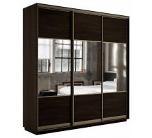 Шкаф-купе Экспресс Комби трио