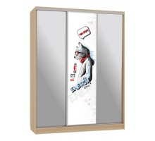 Шкаф-купе Бассо 9-600 энерджи