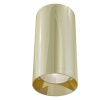 Накладной светильник Maytoni Focus C010CL-01G