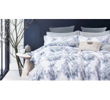 Постельное белье евростандарт C-290