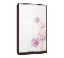 Шкаф-купе Рио 7-600 17