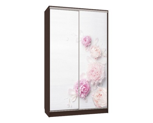 Шкаф-купе Рио 7-600 17