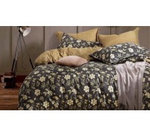 Постельное белье евростандарт Вальтери MP