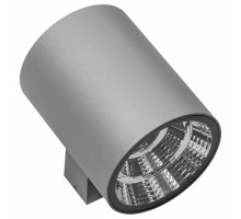 Светильник на штанге Lightstar Paro LED 371592