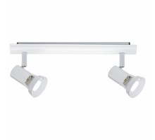 Спот Paulmann Teja 66703