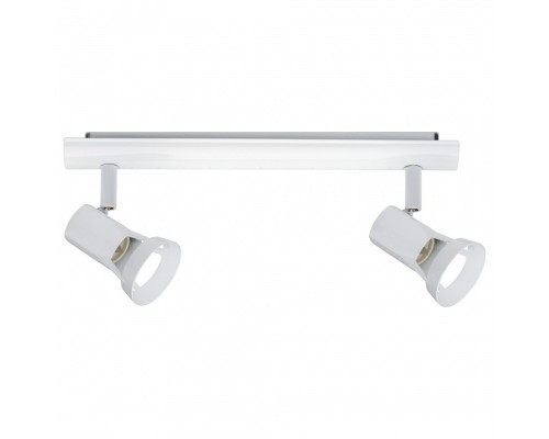 Спот Paulmann Teja 66703