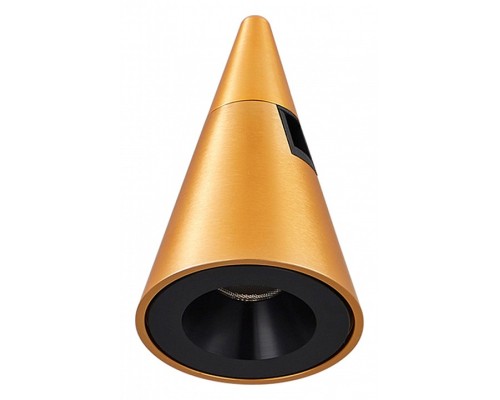 Светильник на штанге ST-Luce Farm 