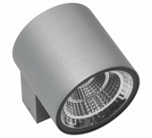 Светильник на штанге Lightstar Paro LED 360694