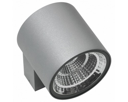 Светильник на штанге Lightstar Paro LED 360694