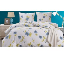 Постельное белье евростандарт CL-400