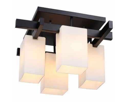 Потолочная люстра ST-Luce Caset