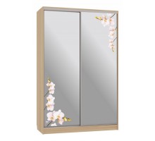 Шкаф-купе Рио 4-600 орхидеи