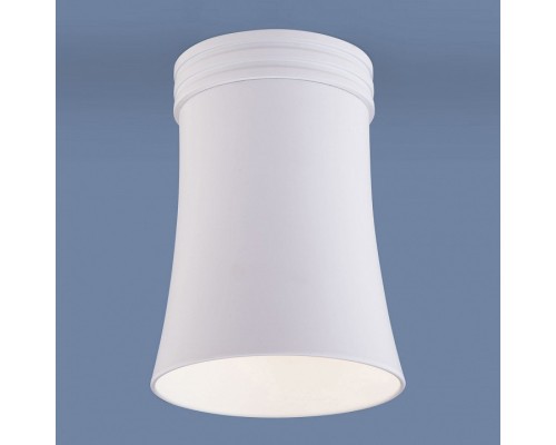 Накладной светильник Elektrostandard DLN100 a043164