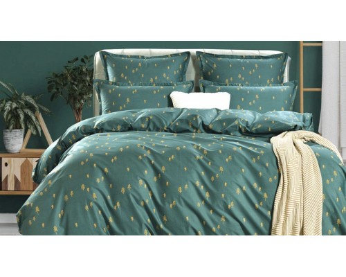 Постельное белье евростандарт Оттавио