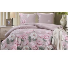 Постельное белье евростандарт CL-406