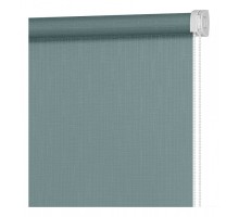 Штора рулонная (60x160 см) Апилера