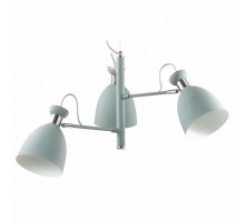 Подвесная люстра Lumion Kizzy 3735/3