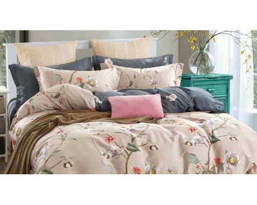 Постельное белье евростандарт C-324