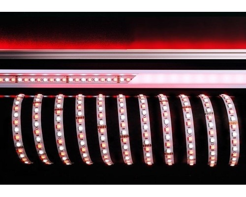 Лента светодиодная [5 м] Deko-Light  840217